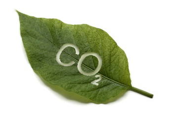 Treibhausgas CO2
