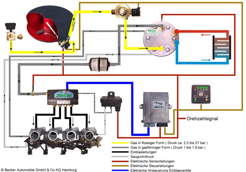 vollsequenzielle Anlage von Zavoli